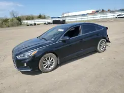 5NPE24AF6KH806148 2019 HYUNDAI SONATA