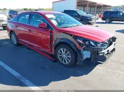 5NPE24AF6KH806800 2019 HYUNDAI SONATA