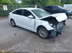 5NPE24AF6KH814850 2019 HYUNDAI SONATA