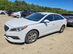 5NPE24AF7GH272178 2016 HYUNDAI SONATA