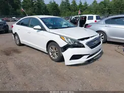 5NPE24AF7GH273248 2016 HYUNDAI SONATA