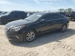 5NPE24AF7GH276229 2016 HYUNDAI SONATA