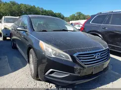 5NPE24AF7GH284959 2016 HYUNDAI SONATA