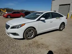 5NPE24AF7GH287313 2016 HYUNDAI SONATA