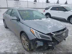 5NPE24AF7GH291488 2016 HYUNDAI SONATA