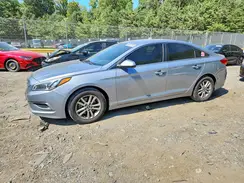 5NPE24AF7GH292303 2016 HYUNDAI SONATA