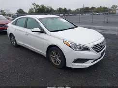 5NPE24AF7GH292625 2016 HYUNDAI SONATA