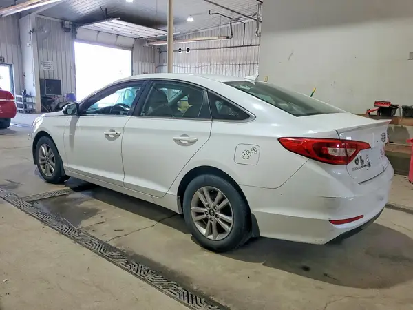 5NPE24AF7GH294486 2016 HYUNDAI SONATA - Image 2