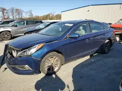 5NPE24AF7GH298263 2016 HYUNDAI SONATA