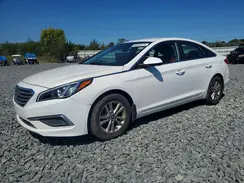 5NPE24AF7GH298344 2016 HYUNDAI SONATA