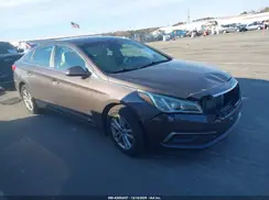 5NPE24AF7GH300545 2016 HYUNDAI SONATA