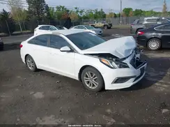 5NPE24AF7GH301906 2016 HYUNDAI SONATA