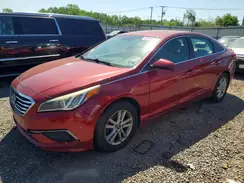 5NPE24AF7GH311948 2016 HYUNDAI SONATA