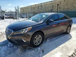 5NPE24AF7GH312310 2016 HYUNDAI SONATA