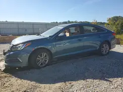 5NPE24AF7GH312548 2016 HYUNDAI SONATA