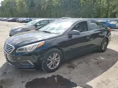 5NPE24AF7GH314414 2016 HYUNDAI SONATA