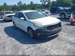 5NPE24AF7GH314994 2016 HYUNDAI SONATA