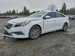 5NPE24AF7GH318463 2016 HYUNDAI SONATA