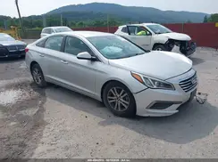 5NPE24AF7GH320357 2016 HYUNDAI SONATA
