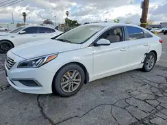5NPE24AF7GH322643 2016 HYUNDAI SONATA