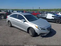 5NPE24AF7GH325901 2016 HYUNDAI SONATA