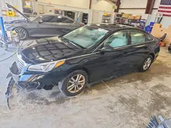 5NPE24AF7GH326031 2016 HYUNDAI SONATA