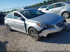 5NPE24AF7GH328569 2016 HYUNDAI SONATA