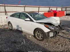 5NPE24AF7GH336591 2016 HYUNDAI SONATA
