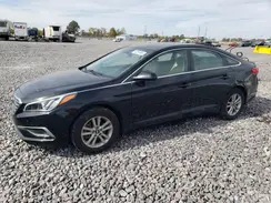 5NPE24AF7GH338180 2016 HYUNDAI SONATA