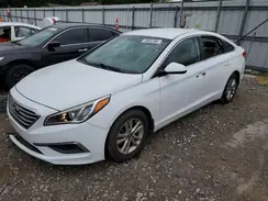 5NPE24AF7GH339832 2016 HYUNDAI SONATA