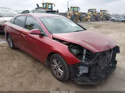 5NPE24AF7GH341029 2016 HYUNDAI SONATA