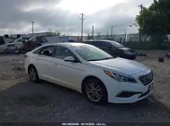 5NPE24AF7GH341824 2016 HYUNDAI SONATA