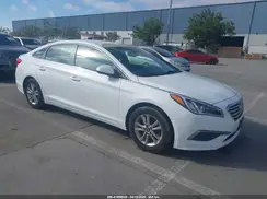 5NPE24AF7GH345145 2016 HYUNDAI SONATA