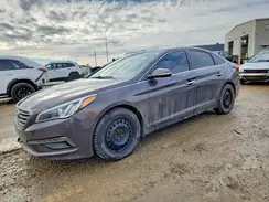 5NPE24AF7GH346246 2016 HYUNDAI SONATA