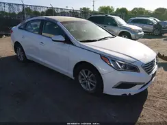5NPE24AF7GH348076 2016 HYUNDAI SONATA