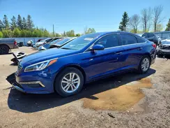 5NPE24AF7GH349342 2016 HYUNDAI SONATA