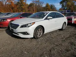 5NPE24AF7GH354699 2016 HYUNDAI SONATA
