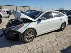 5NPE24AF7GH356565 2016 HYUNDAI SONATA
