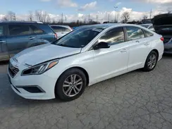 5NPE24AF7GH356579 2016 HYUNDAI SONATA