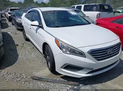 5NPE24AF7GH356582 2016 HYUNDAI SONATA