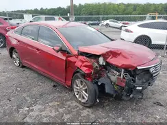 5NPE24AF7GH357280 2016 HYUNDAI SONATA