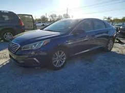 5NPE24AF7GH359305 2016 HYUNDAI SONATA
