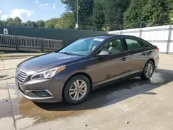 5NPE24AF7GH360504 2016 HYUNDAI SONATA