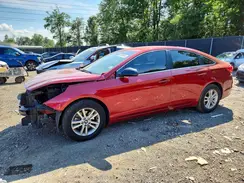 5NPE24AF7GH365461 2016 HYUNDAI SONATA