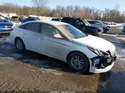 5NPE24AF7GH367629 2016 HYUNDAI SONATA
