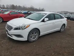 5NPE24AF7GH368537 2016 HYUNDAI SONATA