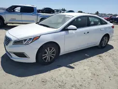 5NPE24AF7GH369011 2016 HYUNDAI SONATA