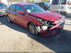 5NPE24AF7GH369834 2016 HYUNDAI SONATA