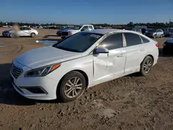 5NPE24AF7GH370238 2016 HYUNDAI SONATA