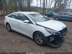 5NPE24AF7GH371034 2016 HYUNDAI SONATA